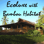 Habitat bambou