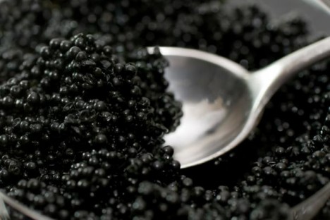 russia caviar 468x312 Un Russe avale 5.000 dollars de caviar en 90 sec