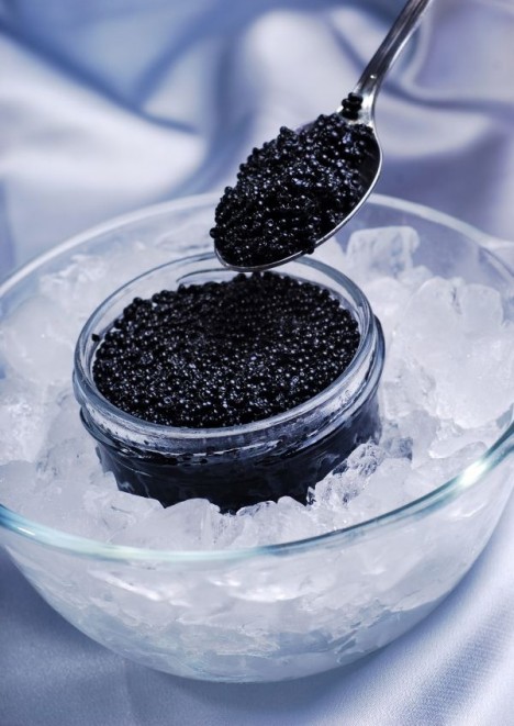 Le WWF dénonce le commerce illégal du caviar photo caviar ice 468x661 Le WWF dénonce le commerce illégal du caviar
