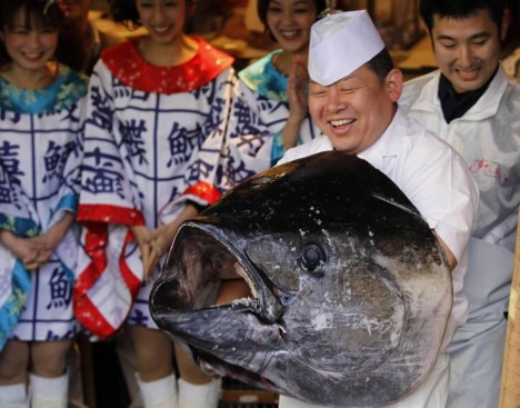 Un thon rouge vendu à 565.000 euros à Tokyo photo bluefin tuna 468x367 Un thon rouge vendu à 565.000 euros à Tokyo