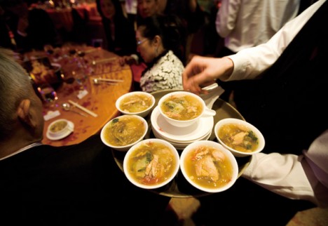 Les ailerons de requin bannis des hôtels Shangri La photo shark fin soup 468x322 Les ailerons de requin bannis des hôtels Shangri La